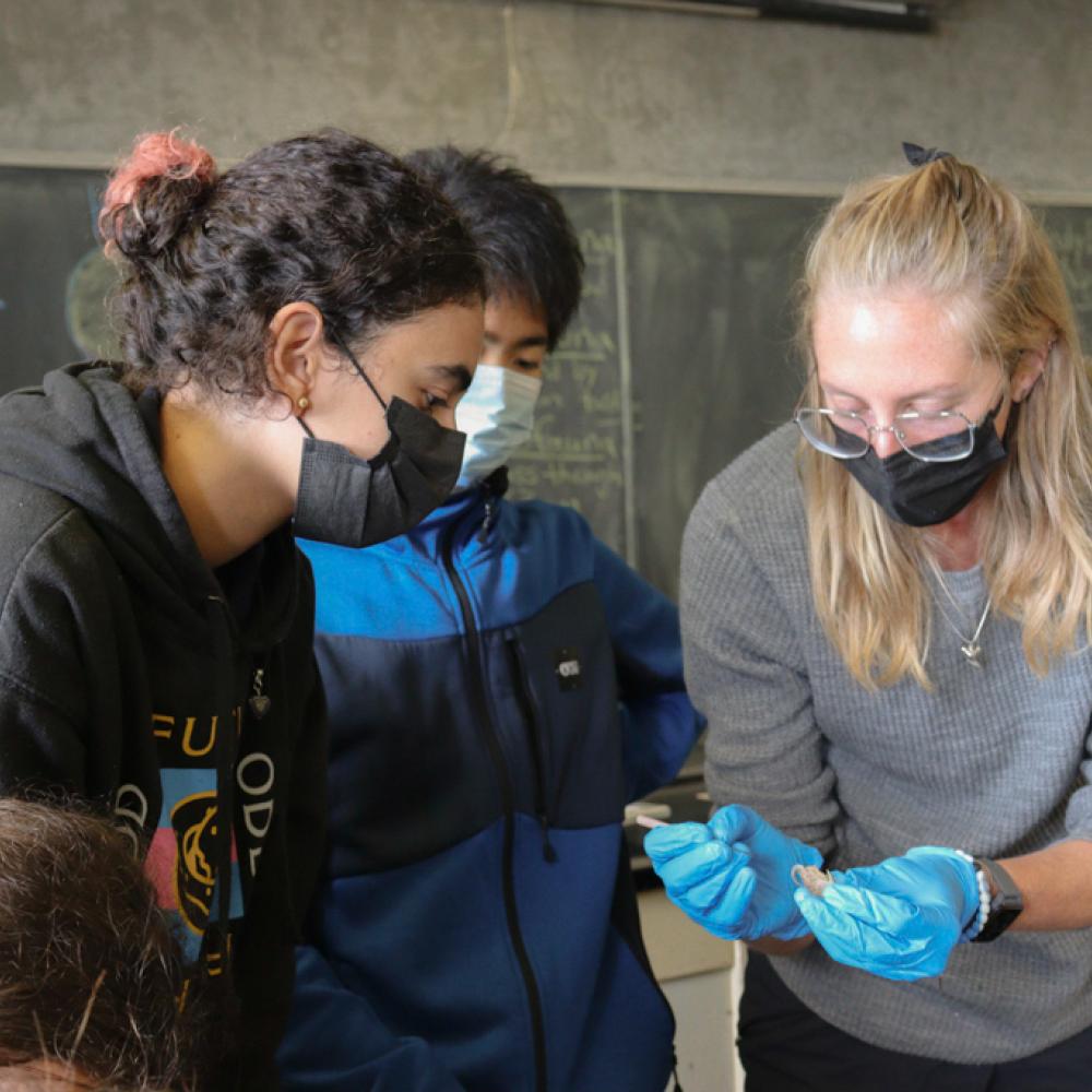 Students wearing masks and looking closely at a mole crab