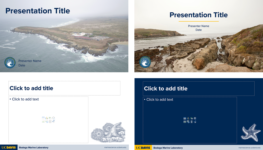 Four pages of a Powerpoint Template, showing different page layouts with photos and illustrations